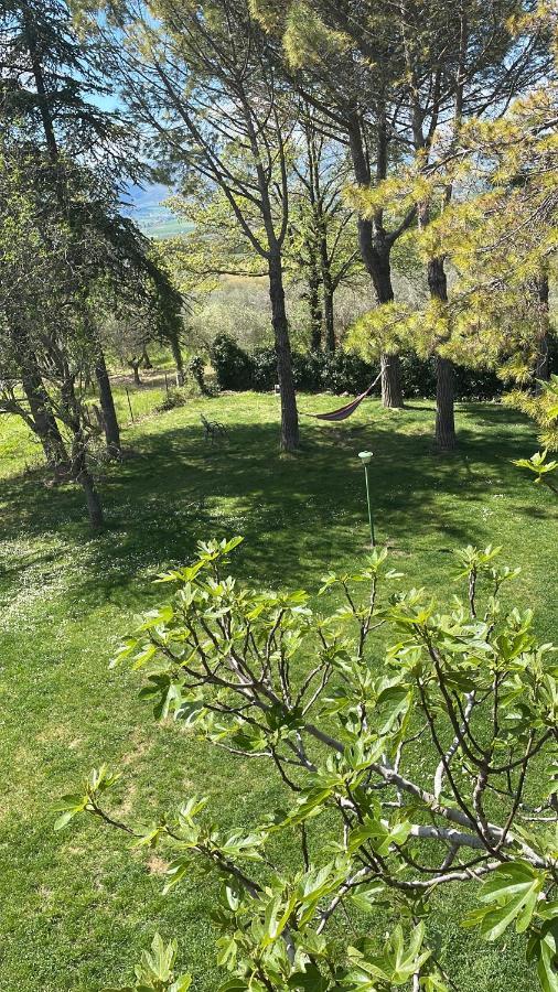 B&B Margherita Montefalco Exterior photo